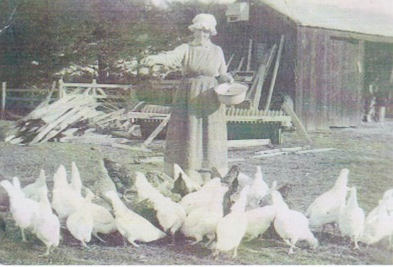 Mary Hoatson Colthart or Robertson in New Zealand. Image courtesy of her great grand-daughter Shirley